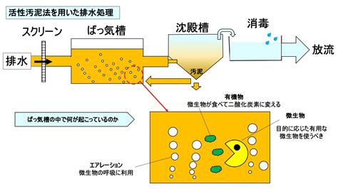 好環境原理|【自然の力で水を浄化】微生物を活用した排水処理に。